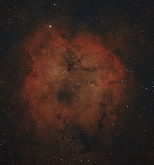 IC 1396 & Mu Cephei, Эракис в Хоботе - астрофотография