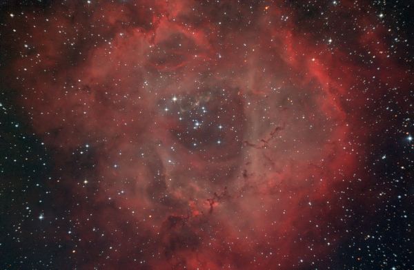 NGC 2237 - Туманность Розетка - астрофотография