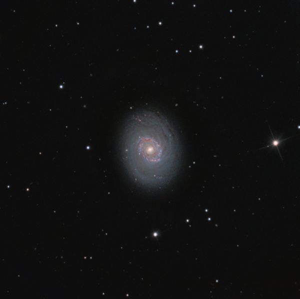 M94 - Cat's Eye Galaxy - Astrophotography