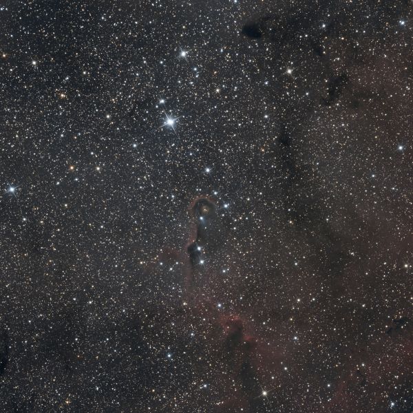 IC 1396 - Elephant Trunk Nebula - астрофотография