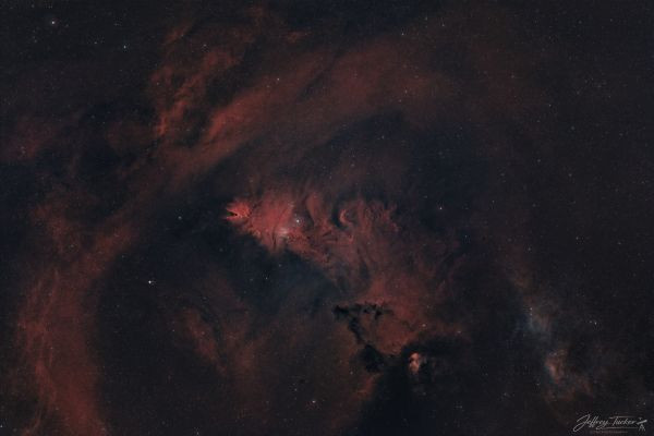 NGC 2264 - Astrophotography