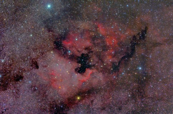 NGC 7000 (Северная Америка), IC 5070 (Пеликан) - астрофотография