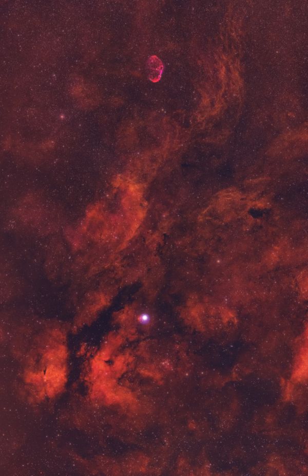 Ionized hydrogen clouds in the constellation Cygnus. - Astrophotography