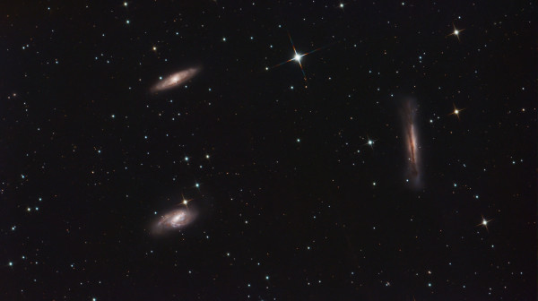 Leo Triplet - Astrophotography