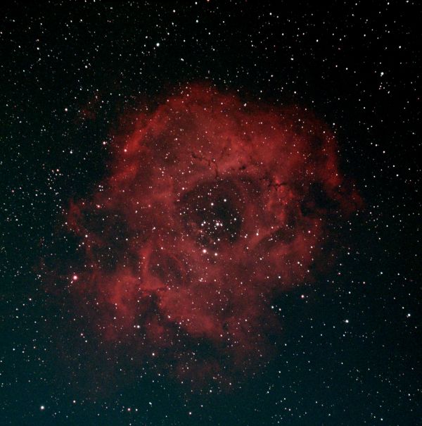 NGC 2244 - астрофотография