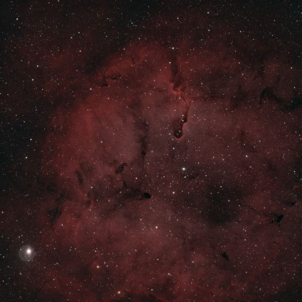 IC1396 Elephant's Trunk - Astrophotography