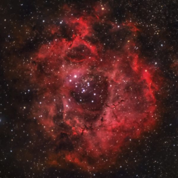 NGC 2237 Rosette Nebula - Astrophotography