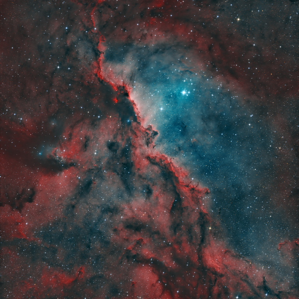 NGC 6193 - Fighting dragons of Ara - астрофотография