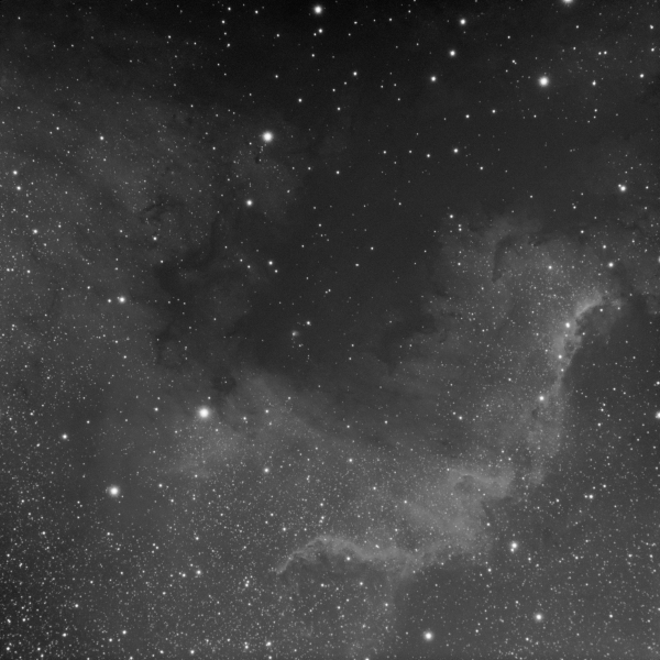 Туманность Северная Америка NGC7000 монохром - астрофотография