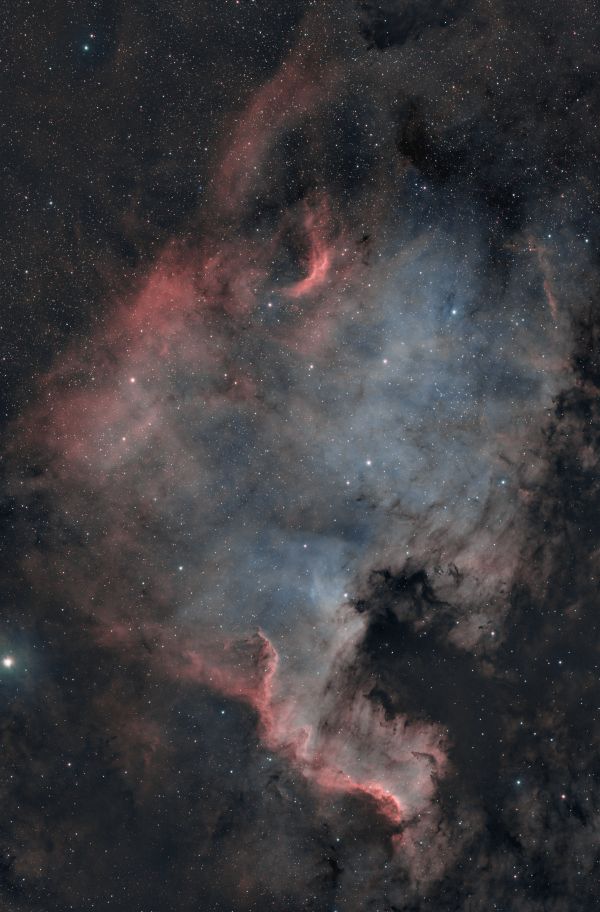NGC 7000. North America. - Astrophotography