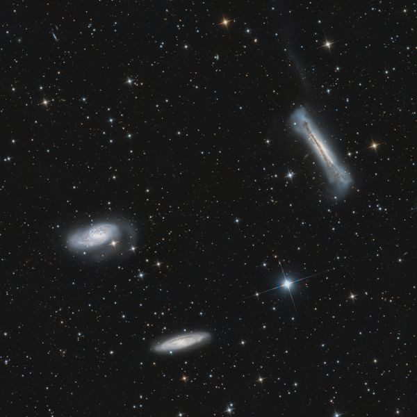 Leo Triplet - Astrophotography