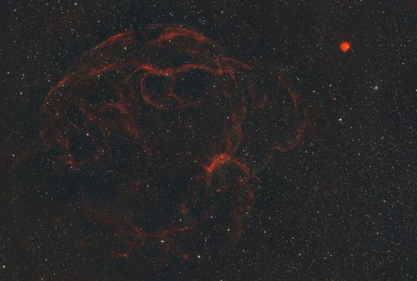SH2-240 "Космическая лапша" - астрофотография