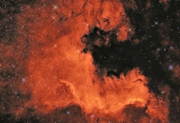 Туманность Северная Америка (NGC7000) - астрофотография