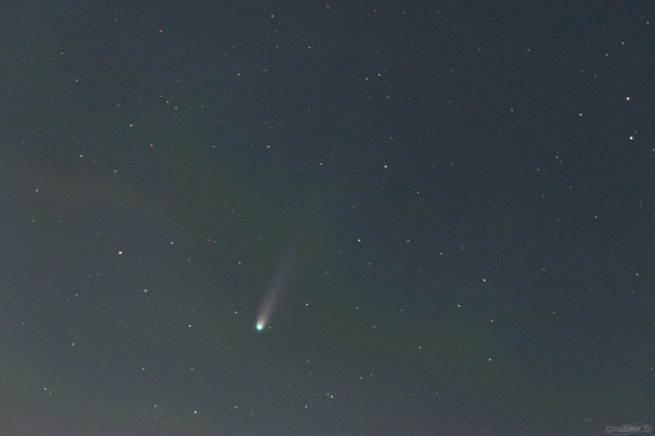 C/2025 A6 (Lemmon) - Astrophotography