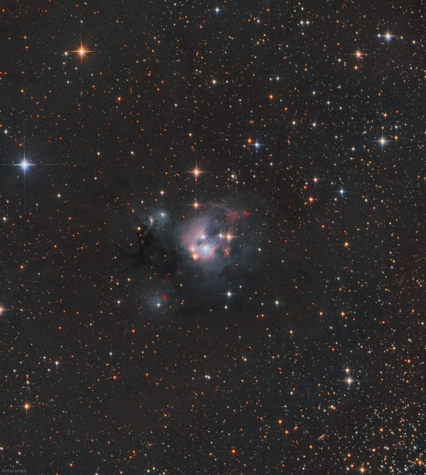 NGC 7129, «Валентинова роза» - астрофотография