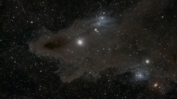 Dark Shark nebula. LDN 1235 - Astrophotography