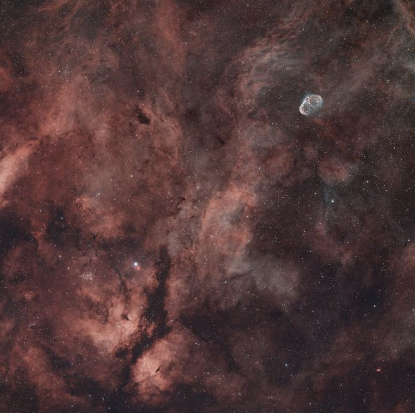 Sadr and surroundings NGC 6888 - Astrophotography
