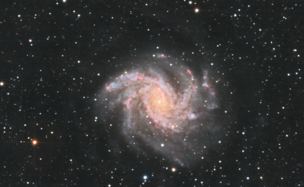 NGC 6946 