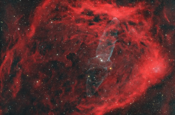 Sh2-129 Flying Bat Nebula and OU4 Squid Nebula - Astrophotography