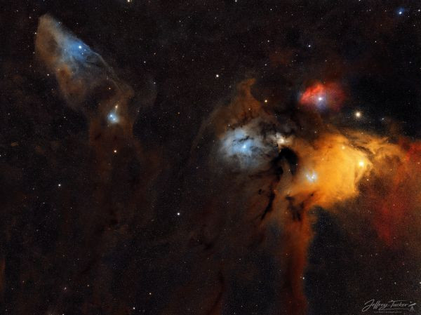Rho Ophiuchi Cloud Complex and Blue Horsehead Nebula - Astrophotography