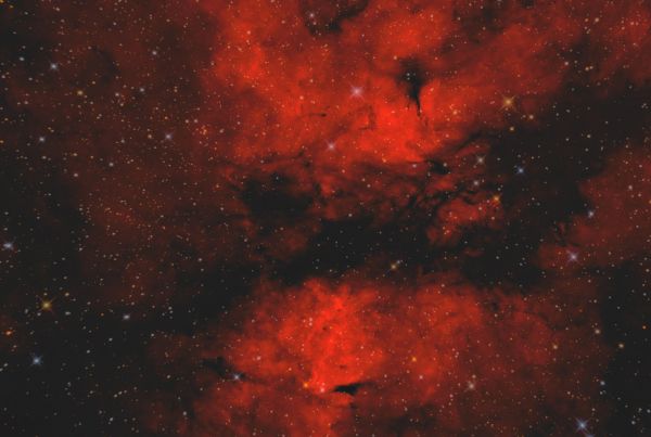Туманность Гамма Лебедя - астрофотография