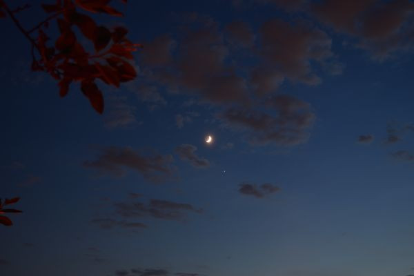 Moon and Jupiter 20.05.26 - Astrophotography