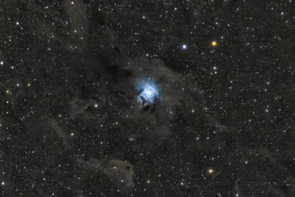NGC 7023 Iris Nebula - астрофотография