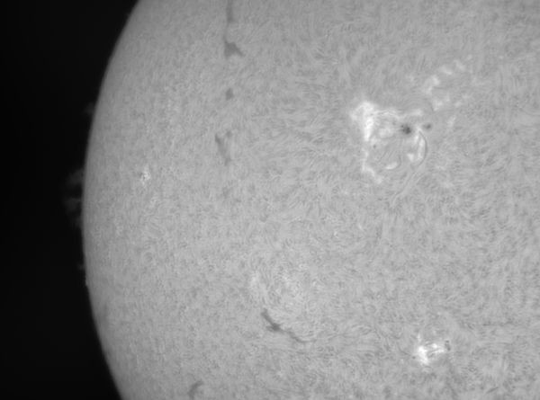 Sun AR 4425 29.04.2026 10:55 UTC+05 - Astrophotography