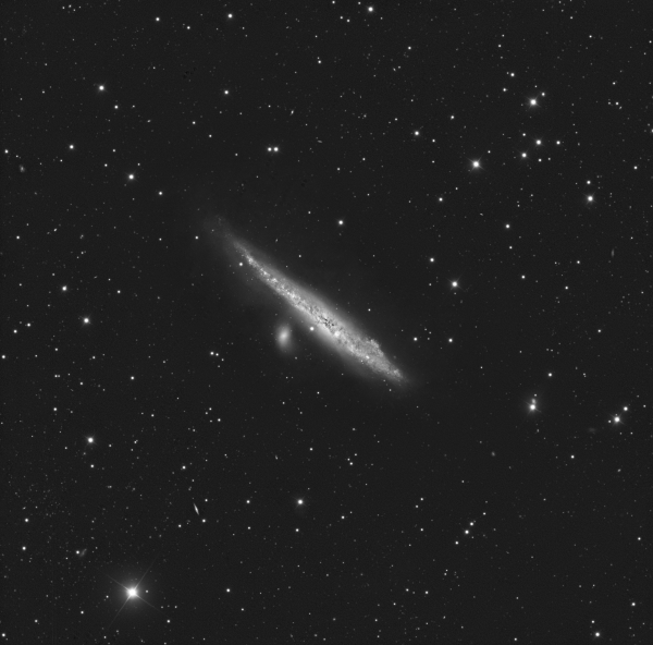 NGC4631 - Astrophotography
