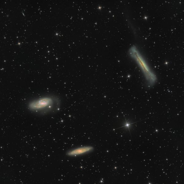 Leo Triplet - Astrophotography