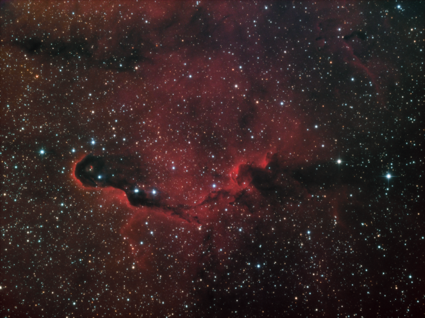 IC1396 HORGB Elephant Trunk - астрофотография