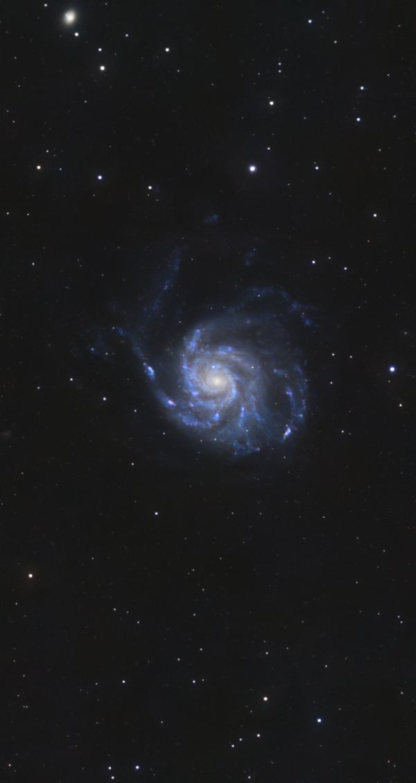 M 101 — the Pinwheel Galaxy - Astrophotography