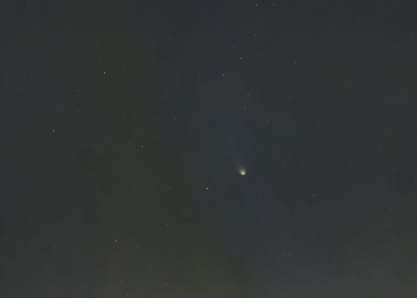 12P поздним вечером 05.04.2024 - астрофотография