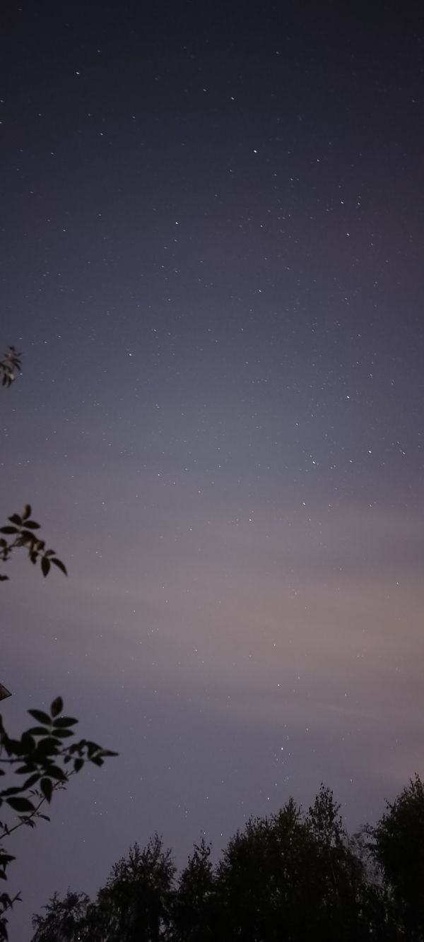 Cepheus, Cassiopeia and Perseus - Astrophotography