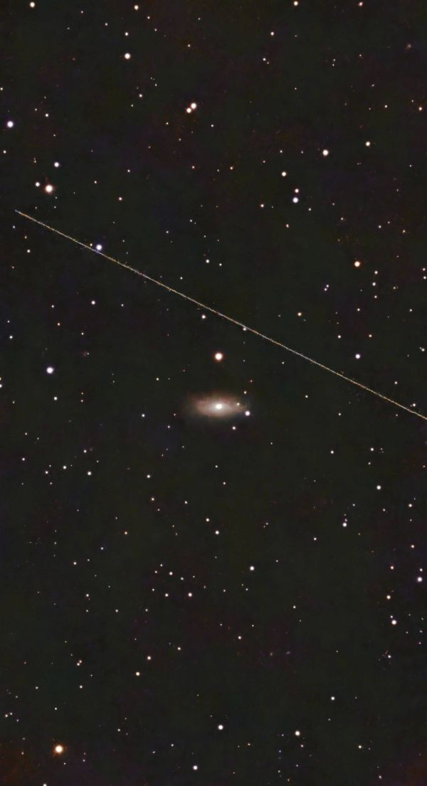 NGC 2146: The Eye of the Tiger - Astrophotography