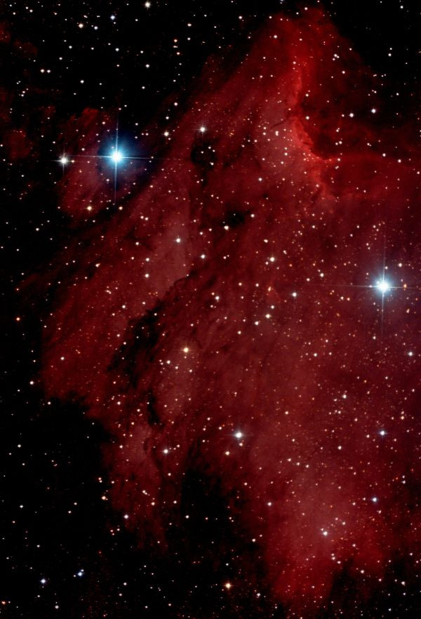 IC 5070 - Pelican Nebula - Astrophotography