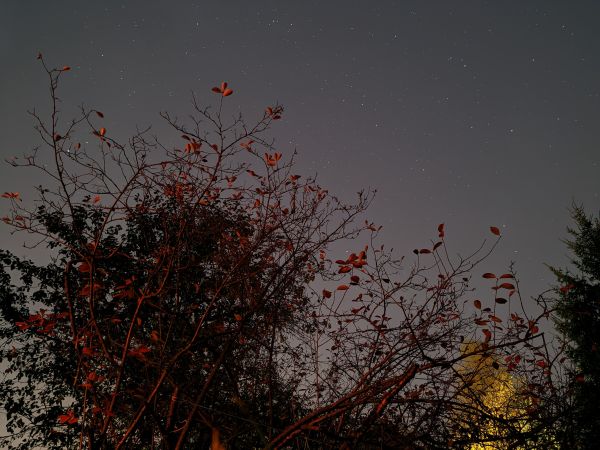 Осенняя ночь  - астрофотография
