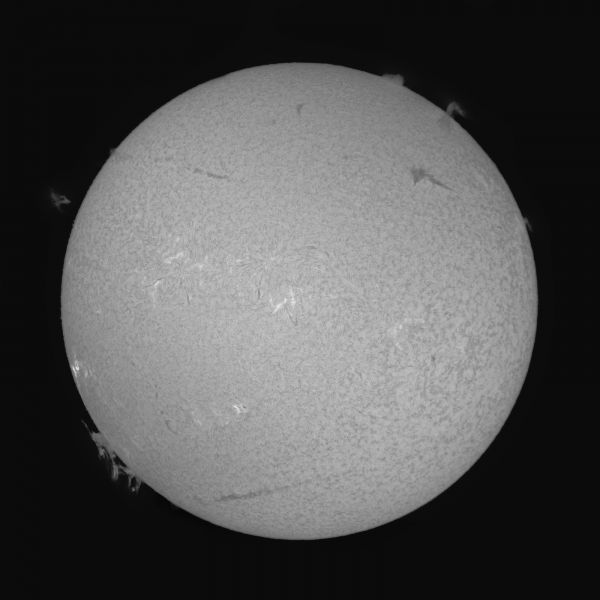 Chromosphere of the Sun at 09:30 19.08.2025 - Astrophotography