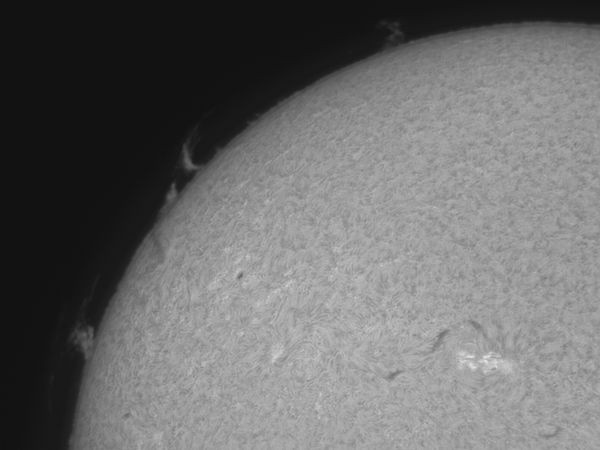 Prominences at 12:07 UTC+05 on May 6, 2026. - Astrophotography