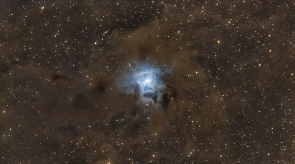 Caldwell 4 - Astrophotography