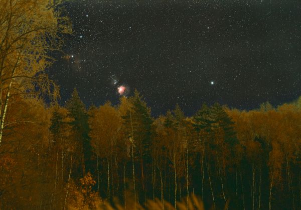 Восход Ориона над лесом - астрофотография