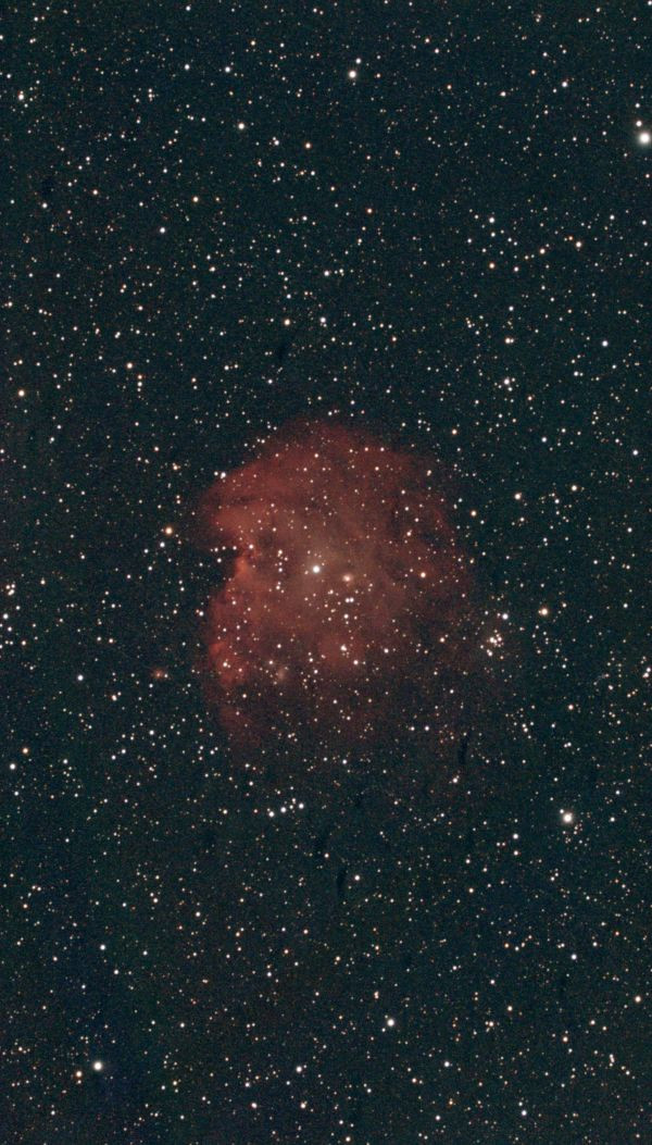 Monkey Head Nebula (NGC 2170) - Astrophotography