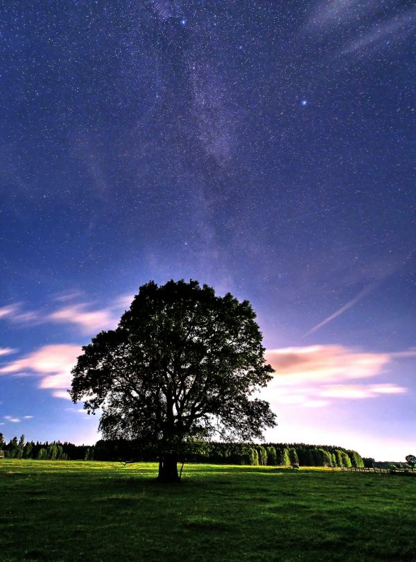 Млечный путь 08.2025 - астрофотография