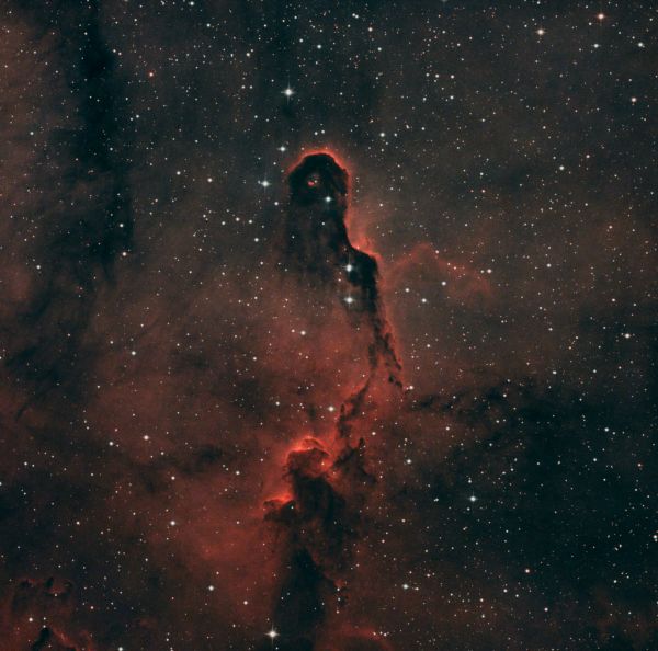 IC 1396A - Хобот Слона - астрофотография