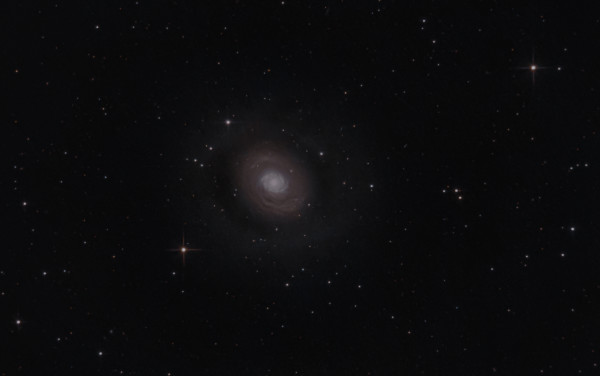 M94 (NGC4736) – The Eye of the Crocodile - Astrophotography