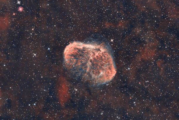 NGC 6888 Полумесяц-27.07.2024 - астрофотография