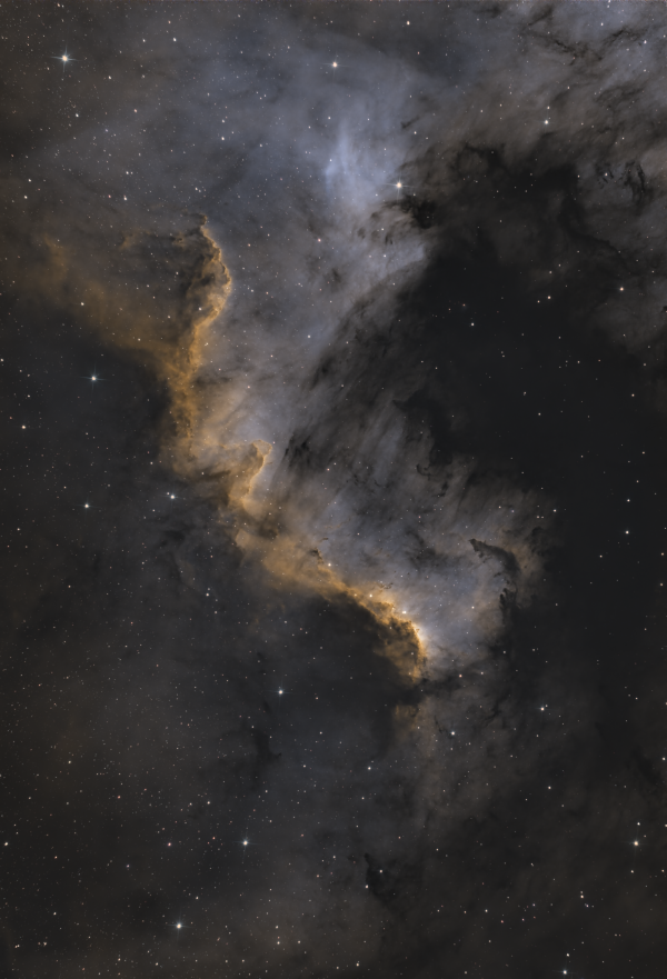 Фрагмент туманности Северная Америка (SHO) - астрофотография