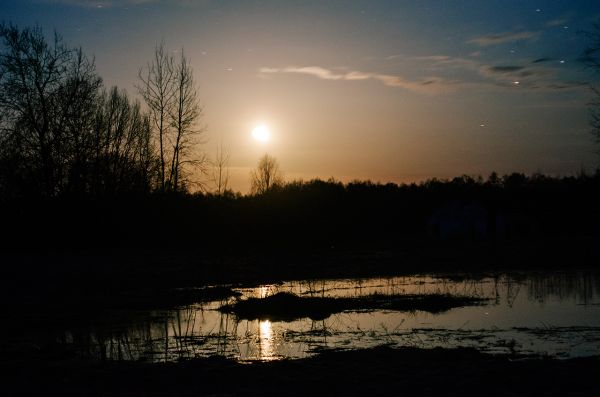 Луна в Воробинском болоте - астрофотография