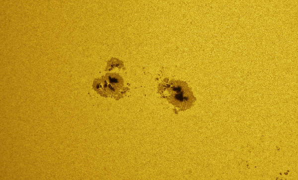 Sunspot AR 4478 - Astrophotography