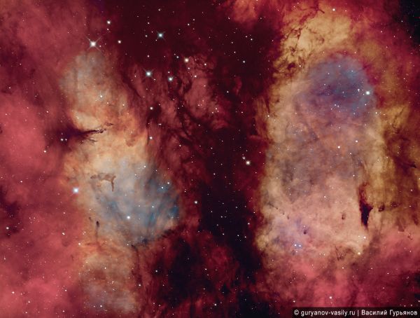 Туманность Гаммы Лебедя (γ Cygnus) Регион Садра. - астрофотография